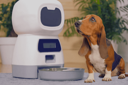 Upgrade Your Pet's Mealtime with Smart Pet Feeders