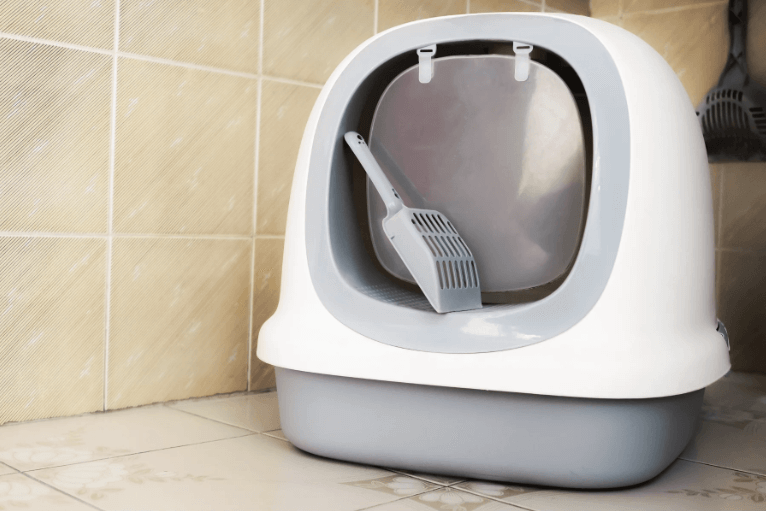 The Advantages of Smart Auto Cat Litter Systems: Why Every Cat Owner Needs One